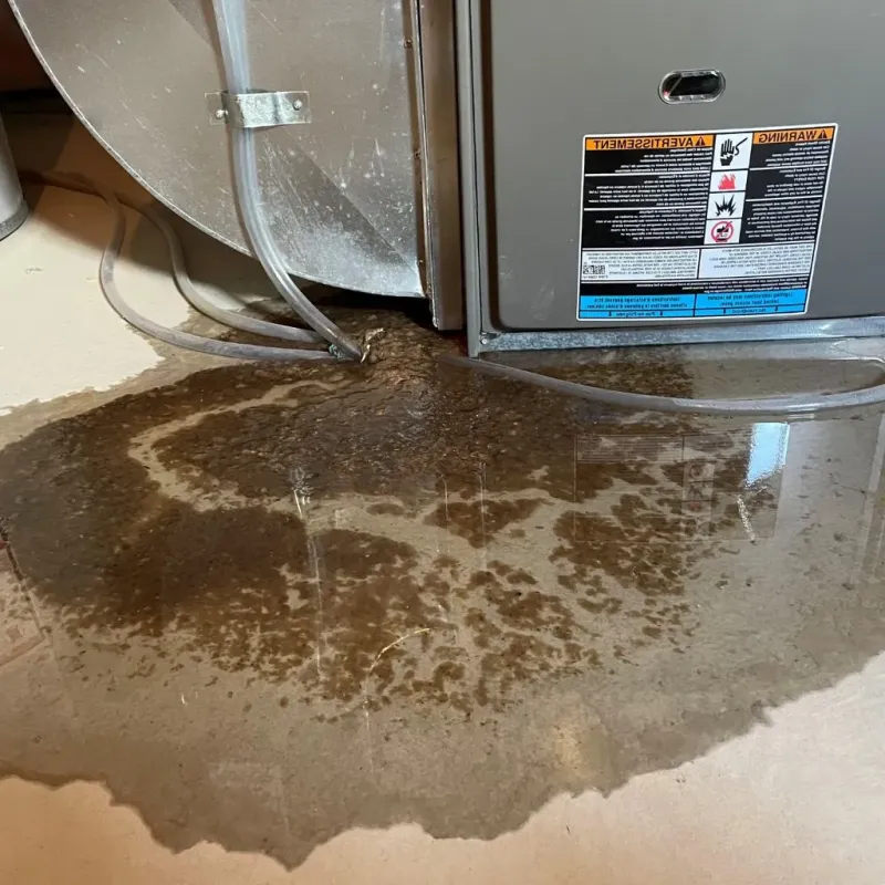 Pipe Burst and Leak Restoration in Vienna, VA